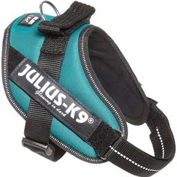 Vacker bensinfärgad Julius K9 sele IDC